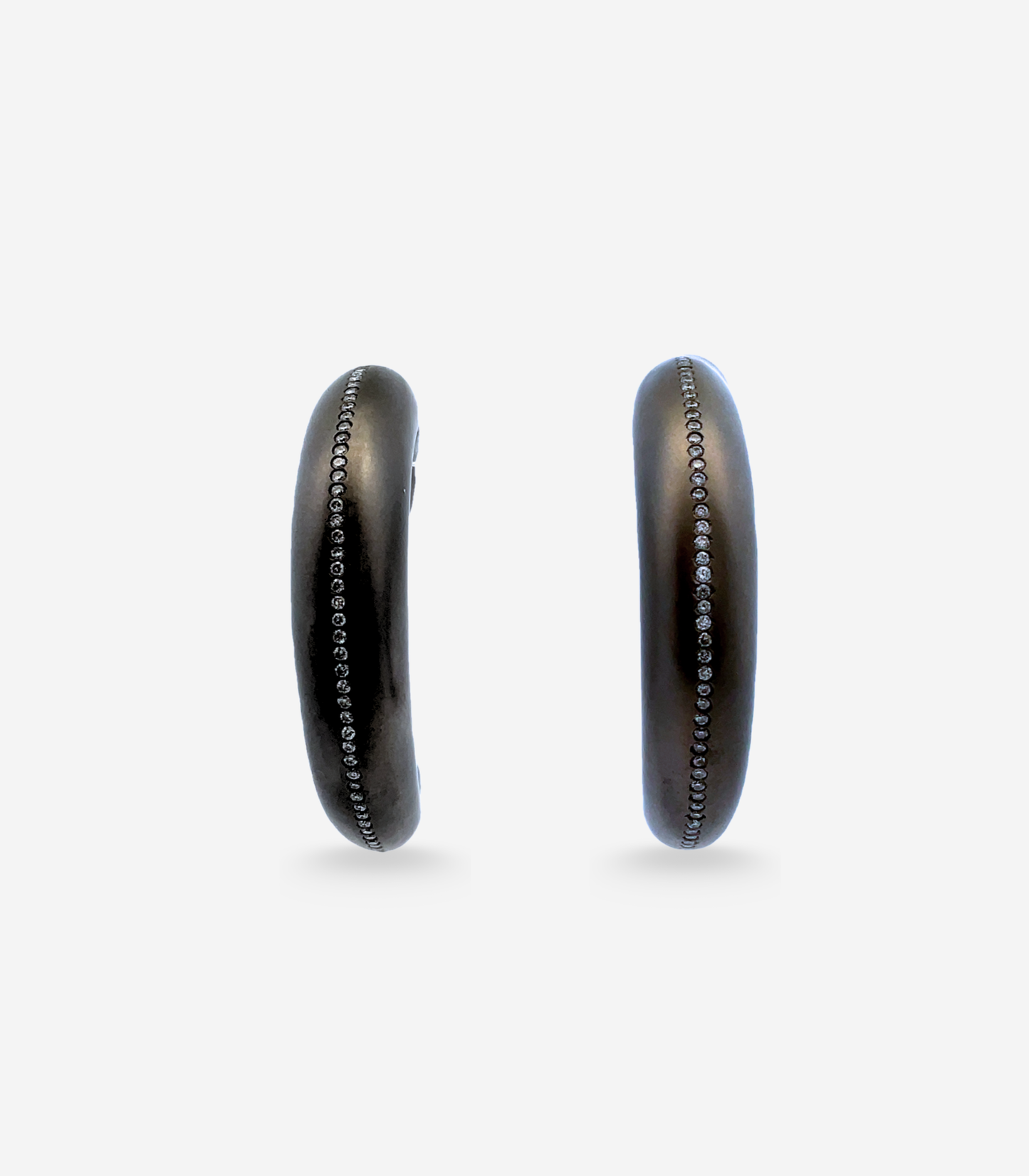 Brushed Titanium Horn Earrings