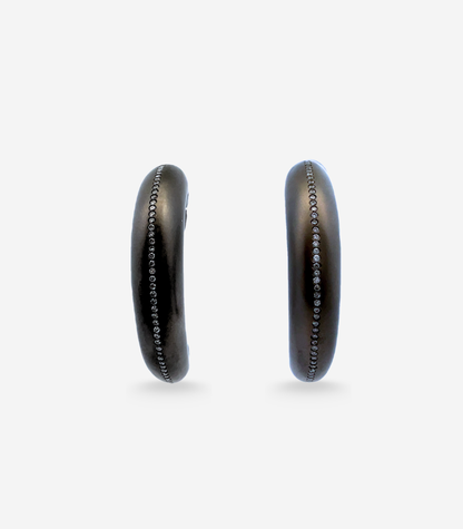 Brushed Titanium Horn Earrings