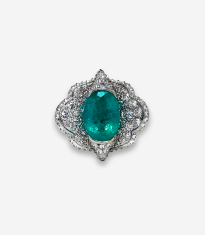 Paraiba Brazil Ring